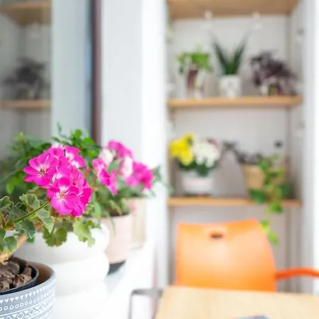 Апартаменты Amelie Neversea Apartament Констанца